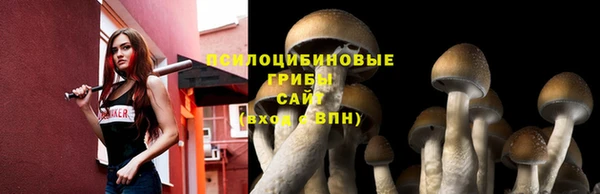 не бодяженный Балахна