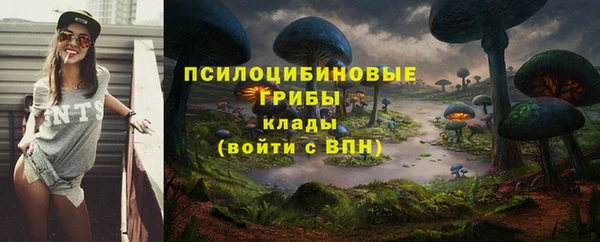 бошки Белоозёрский