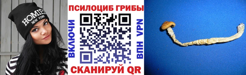 купить наркоту  Окуловка  KRAKEN маркетплейс  Галлюциногенные грибы Cubensis 